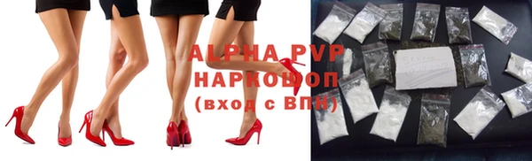 крисы Алзамай