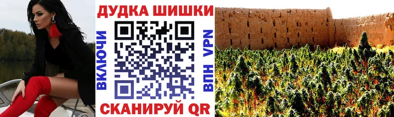Каннабис сатива  Межгорье 